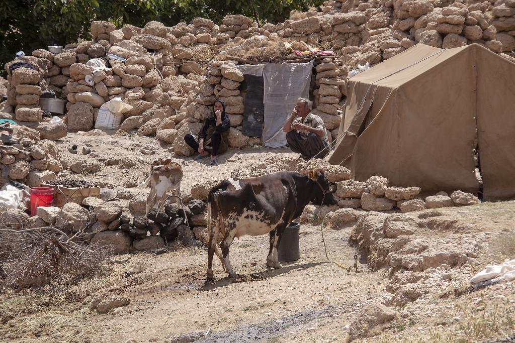 Nomades bakhtiaris, Monts Zagros, vallée de Kuhrang [Iran] - 2018