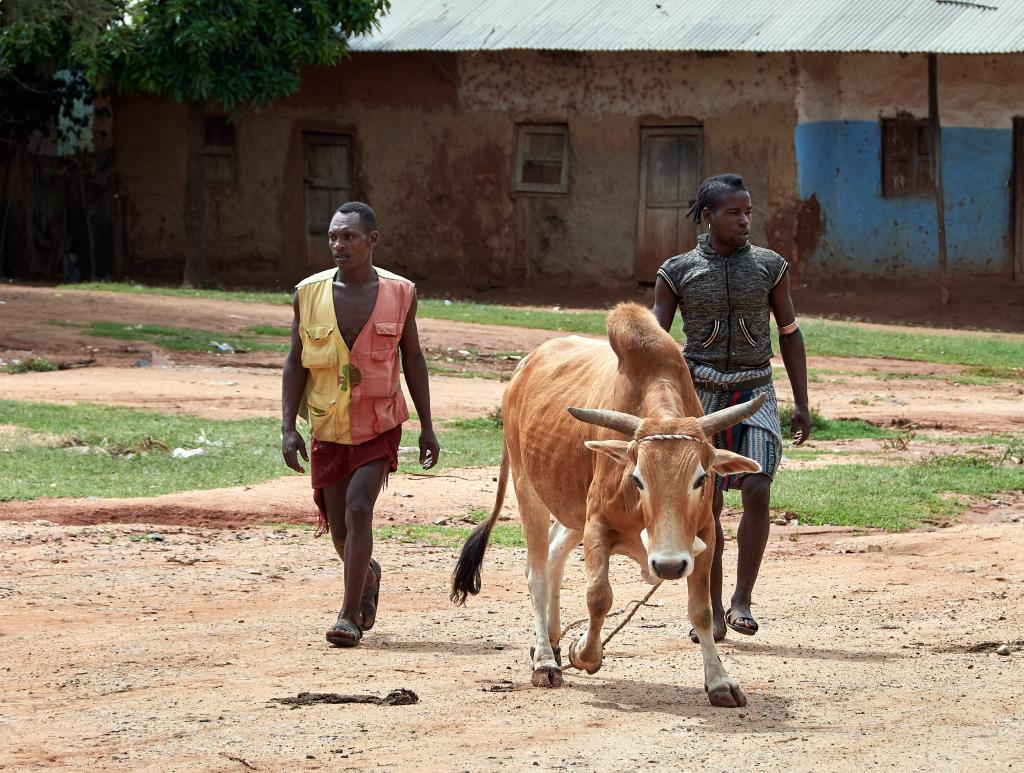 Le village de Key Afer et son marché [Ethiopie] - 2019