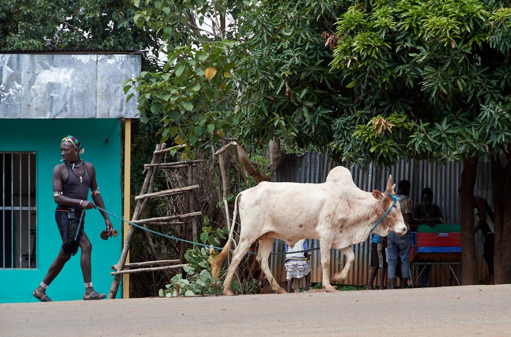 Le village de Key Afer et son marché [Ethiopie] - 2019