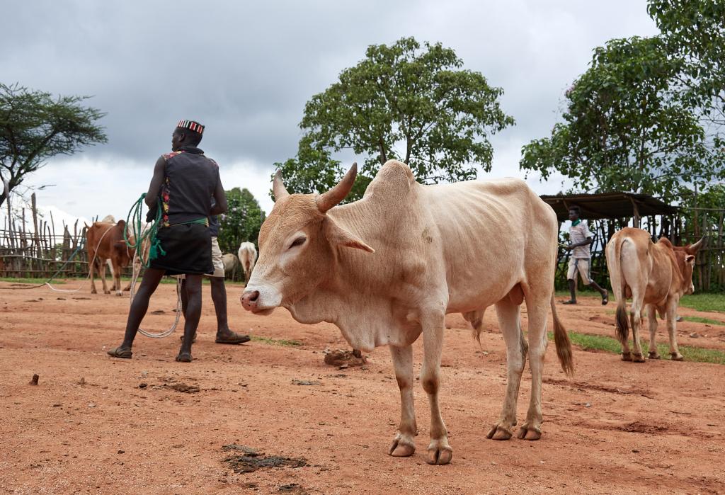 Le village de Key Afer et son marché [Ethiopie] - 2019