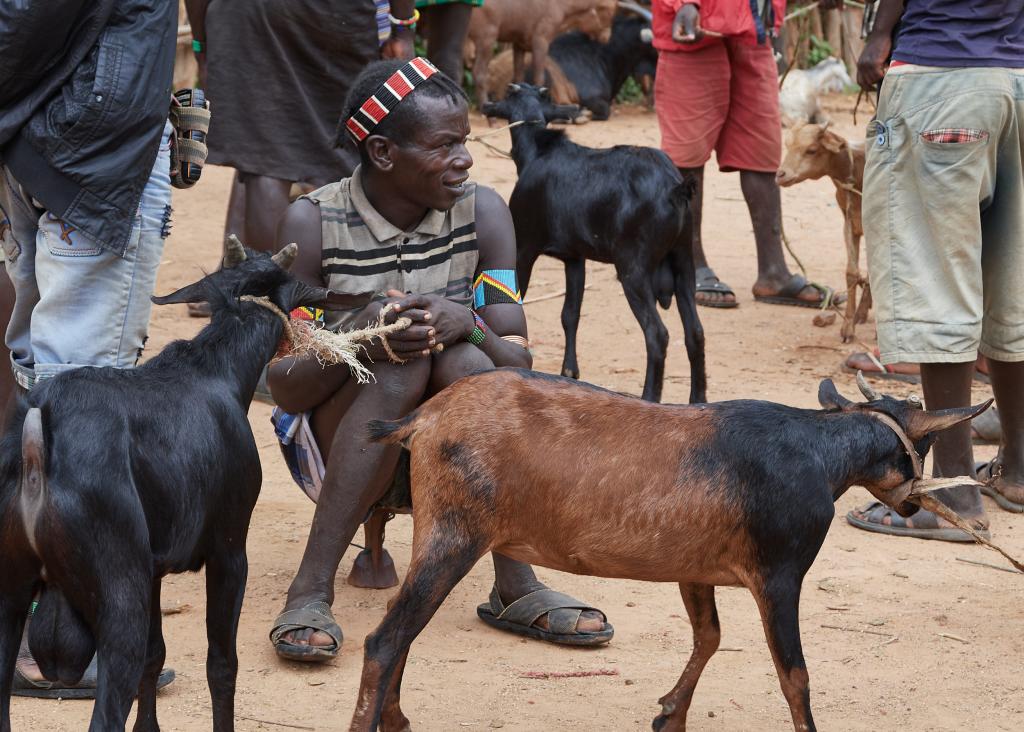 Le village de Key Afer et son marché [Ethiopie] - 2019