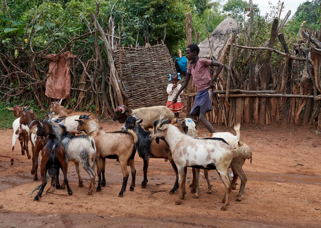 Le village de Key Afer et son marché [Ethiopie] - 2019