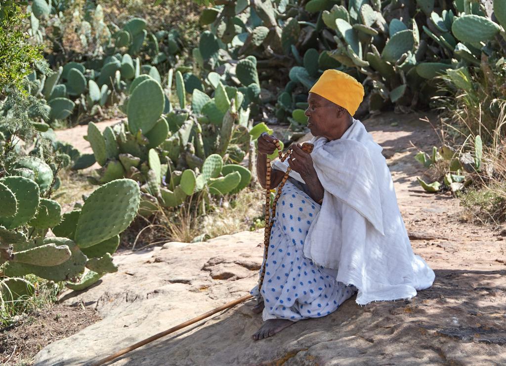 Massif de l'Atsbi [Ethiopie] - 2019