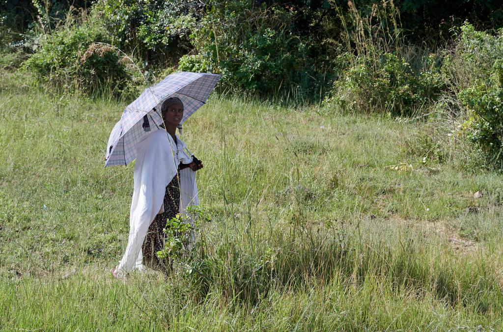 Région des Chutes du Nil bleu [Ethiopie] - 2019