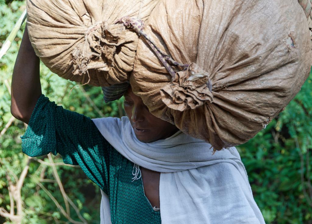 Région des Chutes du Nil bleu [Ethiopie] - 2019