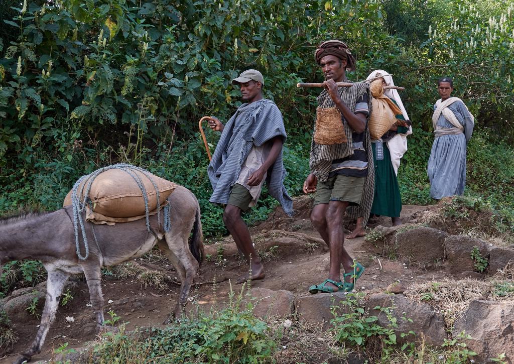 Région des Chutes du Nil bleu [Ethiopie] - 2019