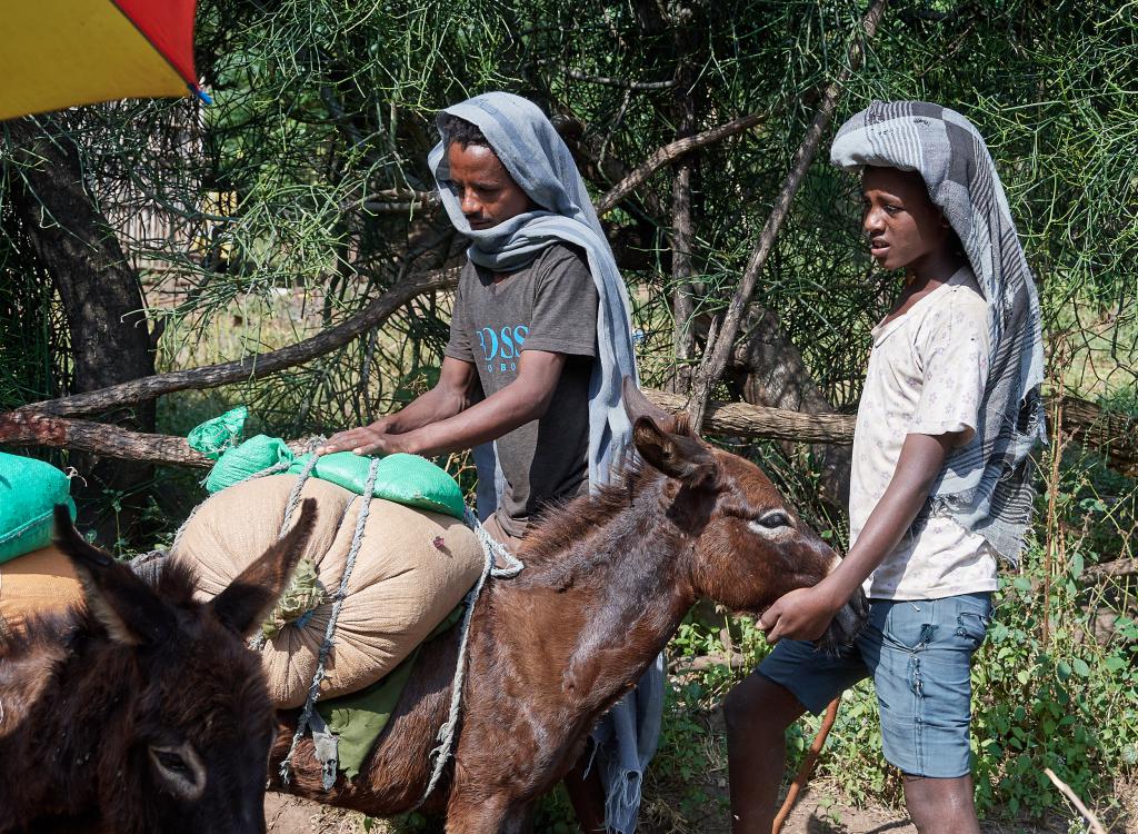 Région des Chutes du Nil bleu [Ethiopie] - 2019