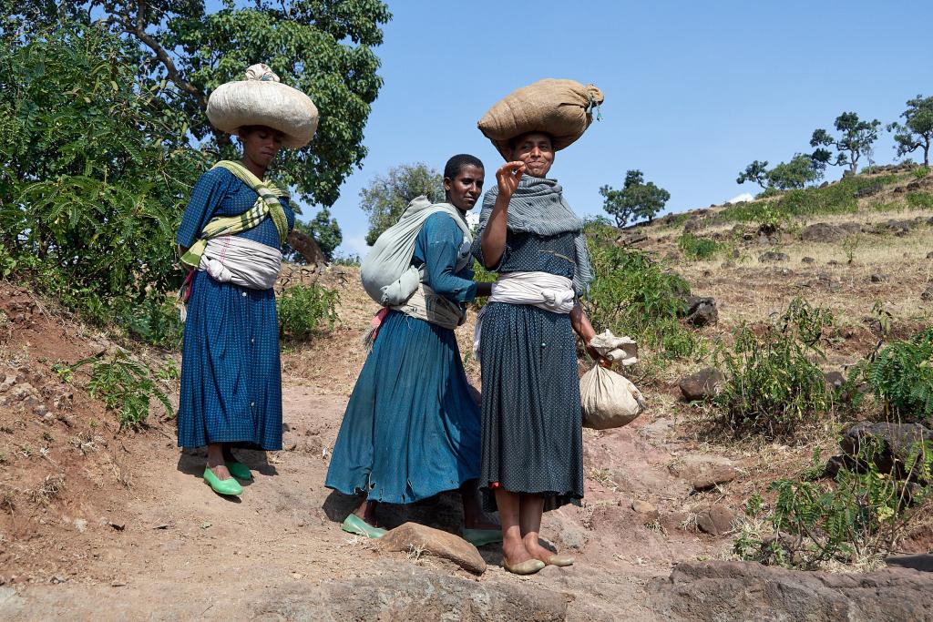 Région des Chutes du Nil bleu [Ethiopie] - 2019