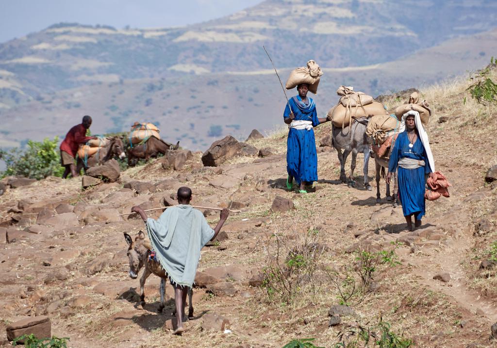 Région des Chutes du Nil bleu [Ethiopie] - 2019