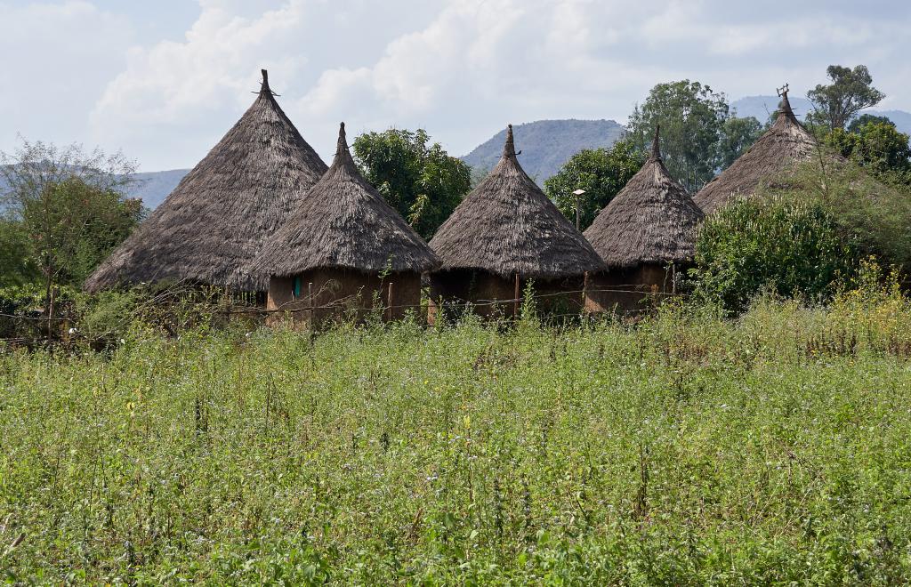 Région des Chutes du Nil bleu [Ethiopie] - 2019