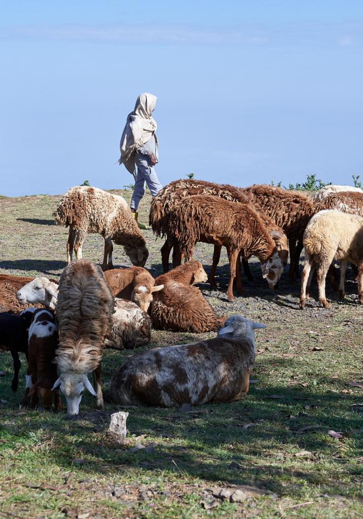 Région de Gondar [Ethiopie] - 2019