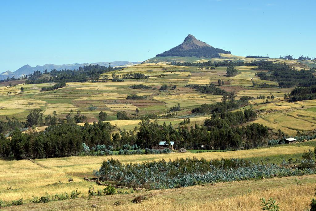 Région de Debarq [Ethiopie] - 2019