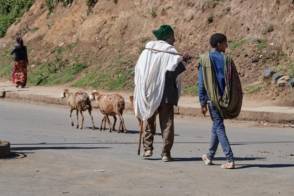 Région de Debarq [Ethiopie] - 2019