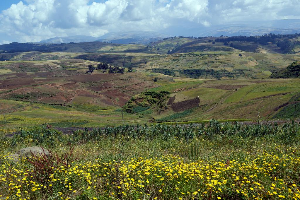 Région de Gondar [Ethiopie] - 2019