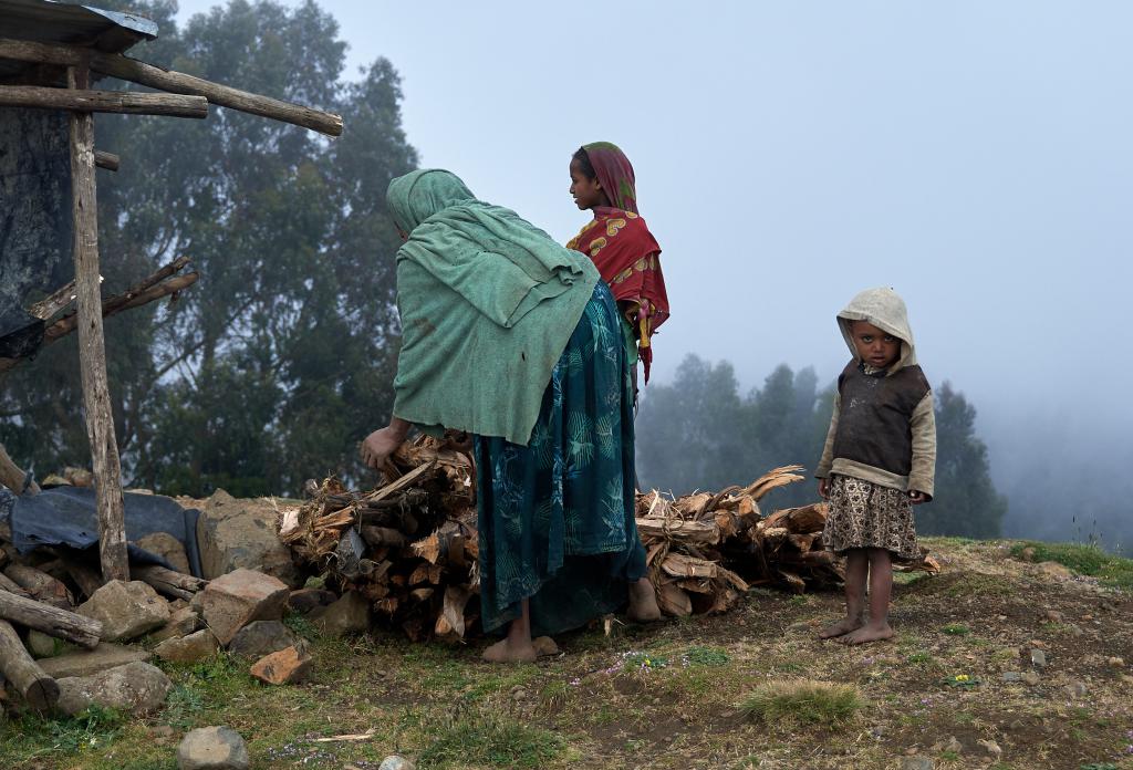 Parc du Simien [Ethiopie] - 2019