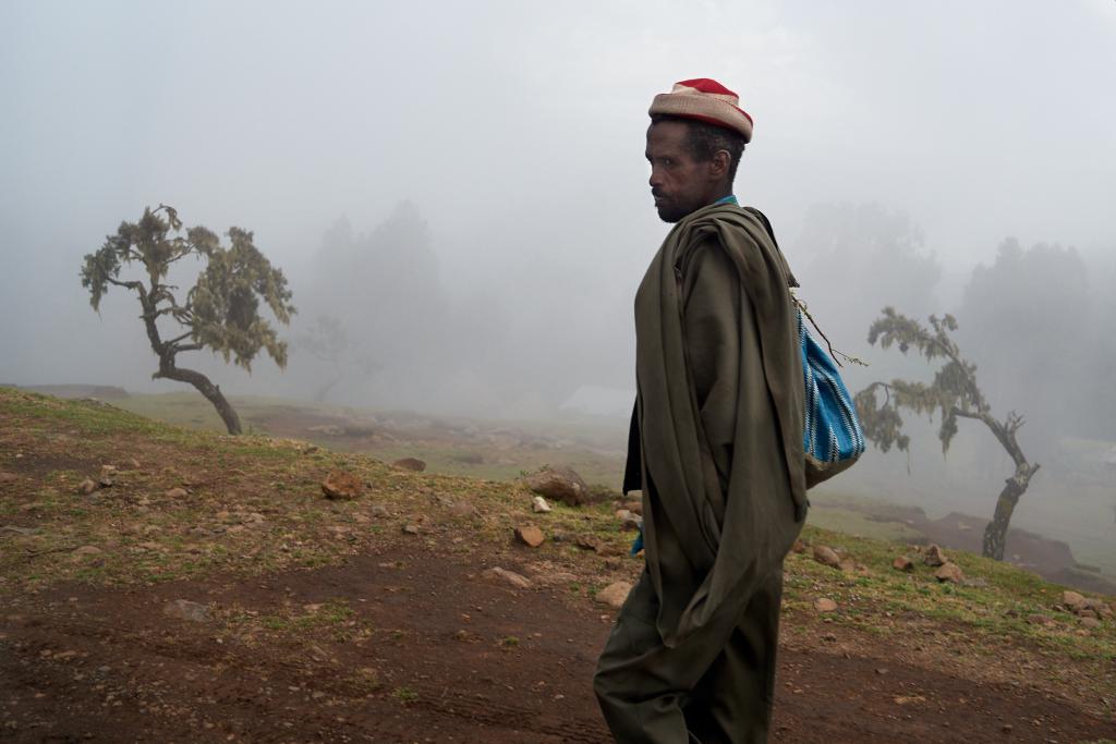 Parc du Simien [Ethiopie] - 2019