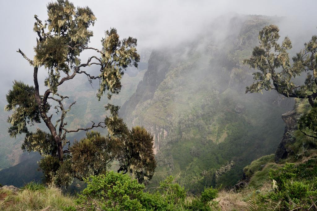 Parc du Simien [Ethiopie] - 2019