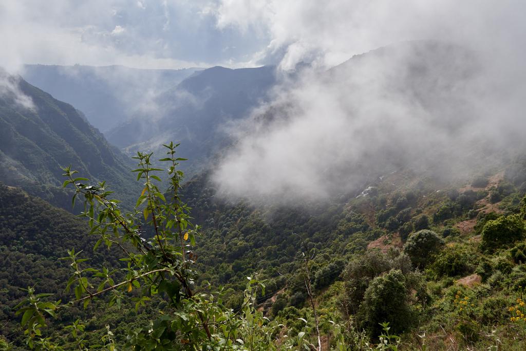 Parc du Simien [Ethiopie] - 2019