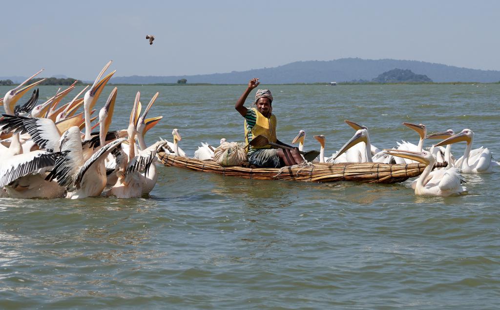 Lac Tana [Ethiopie] - 2019