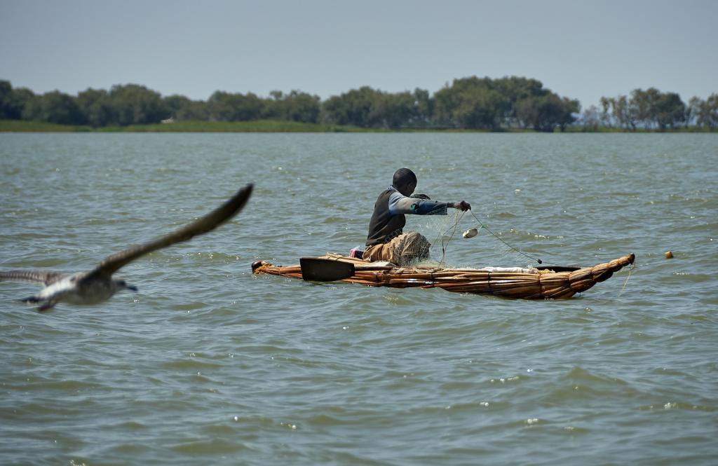 Lac Tana [Ethiopie] - 2019