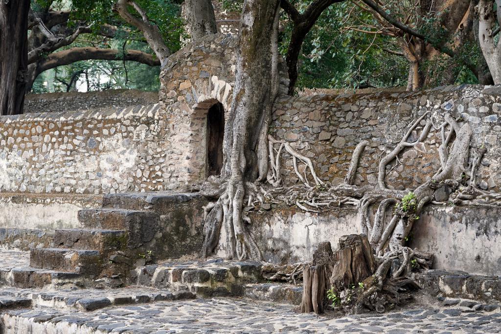 Les Bains de Fasilidas, près de Gondar [Ethiopie] - 2019