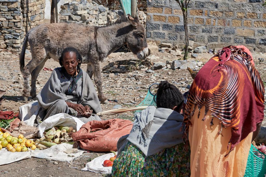 Marché aux alentours de Mekele [Ethiopie] - 2019