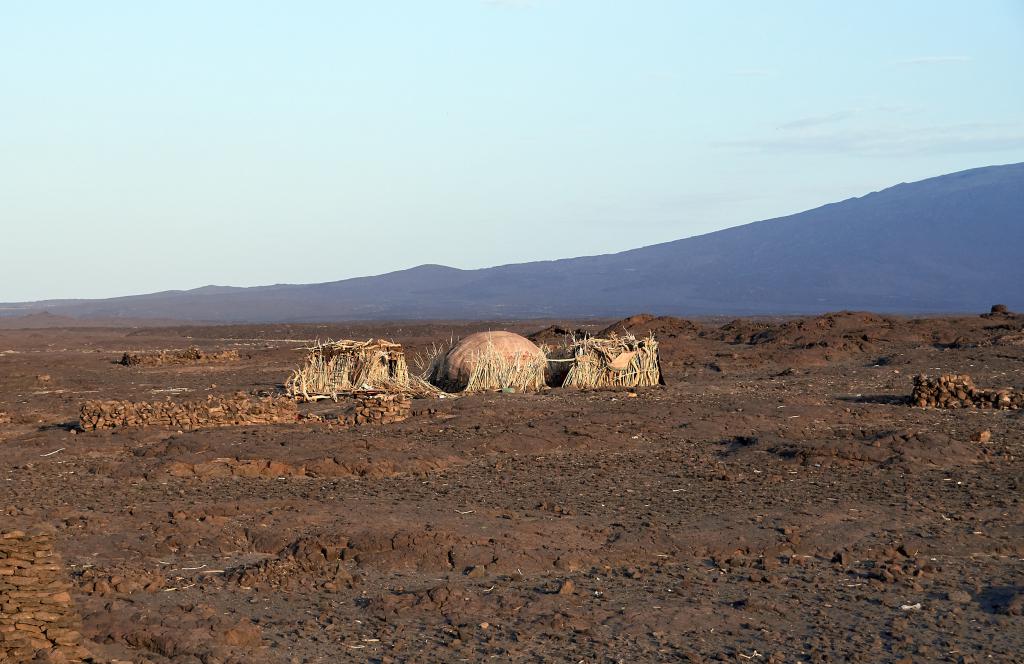 Village Afar, à la frontière du Danakil [Ethiopie] - 2019