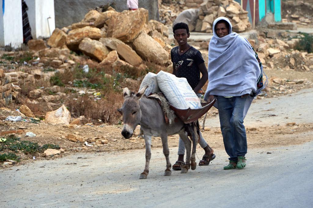 Village à la frontière du Danakil [Ethiopie] - 2019