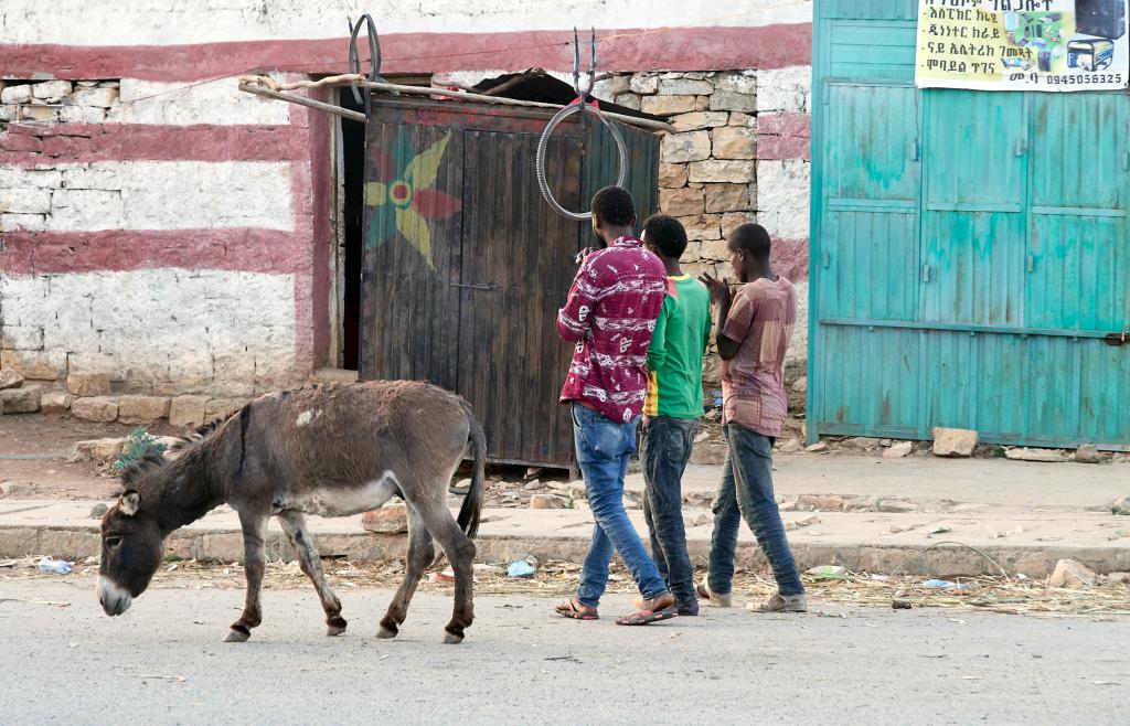 Village à la frontière du Danakil [Ethiopie] - 2019