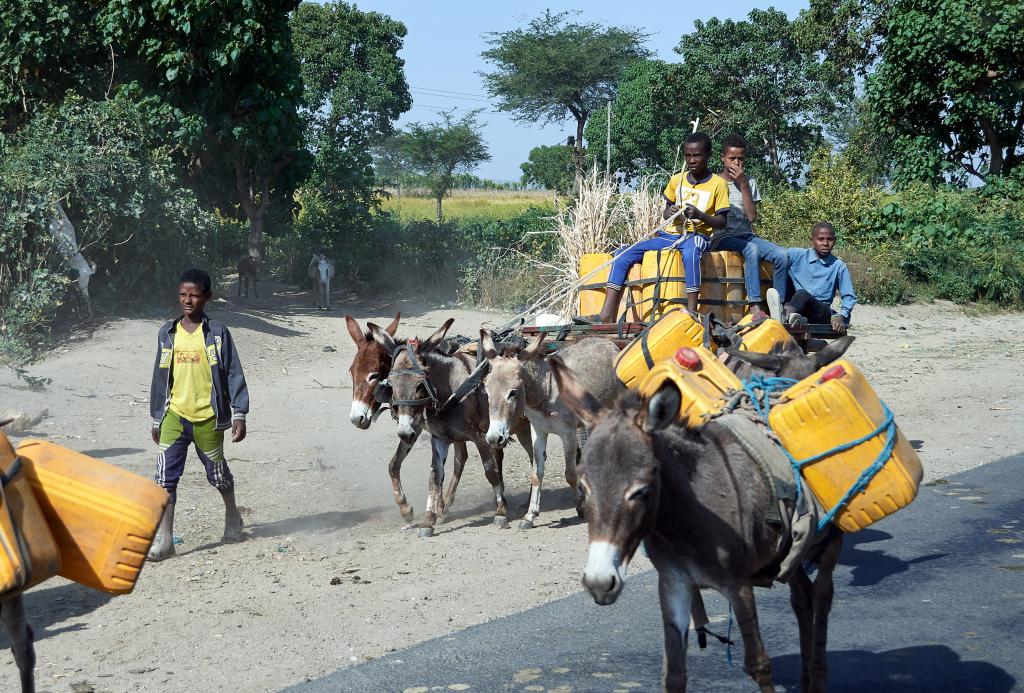 Région d'Arba Minch [Ethiopie] - 2019