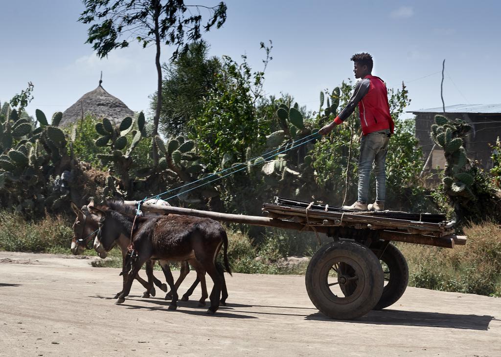 Région d'Arba Minch [Ethiopie] - 2019