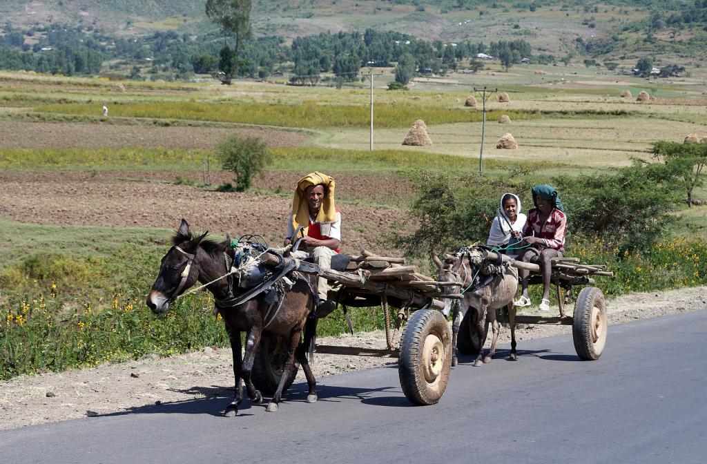 Région de Bahar Dar [Ethiopie] - 2019