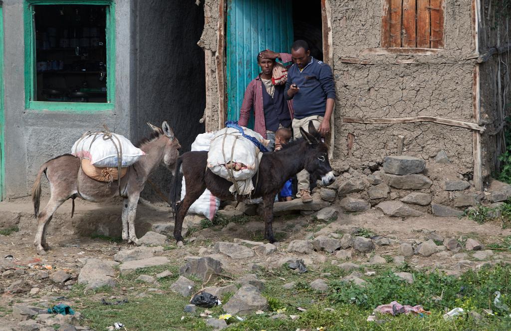 Région de Lalibela [Ethiopie] - 2019