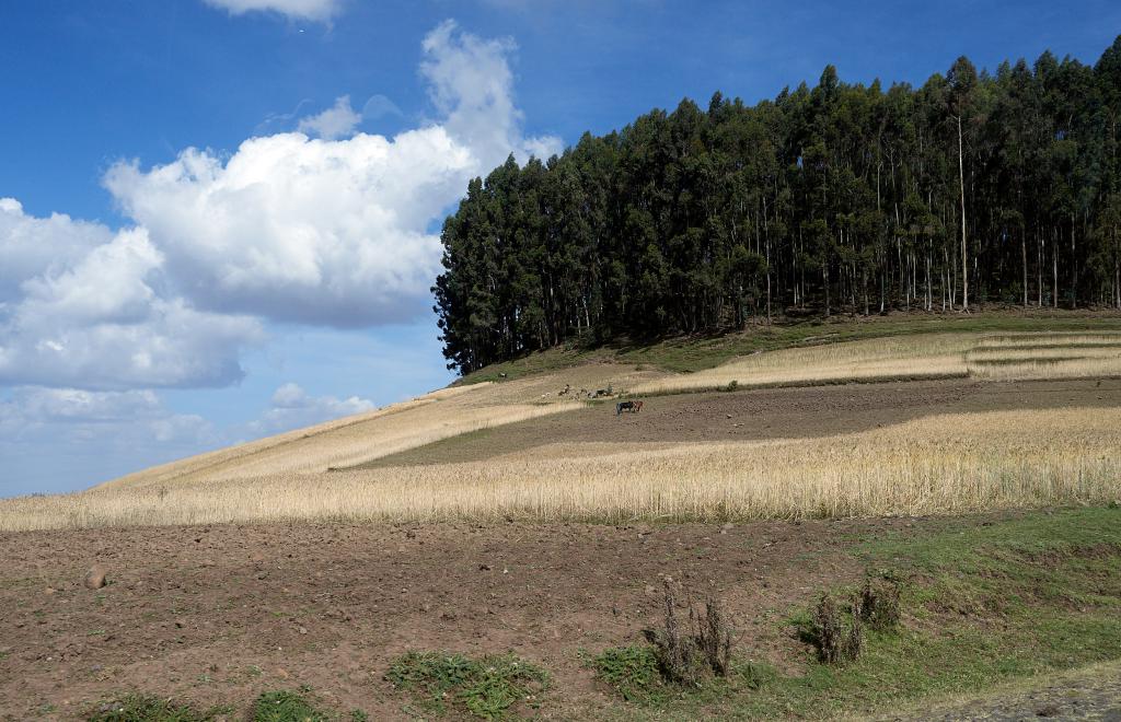 Région de Bahar Dar [Ethiopie] - 2019