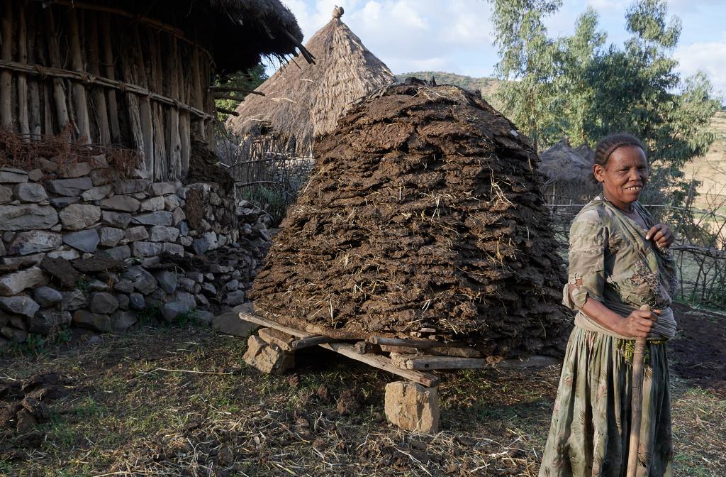 Tulkuts, maisons traditionnelles, région de Lalibela [Ethiopie] - 2019