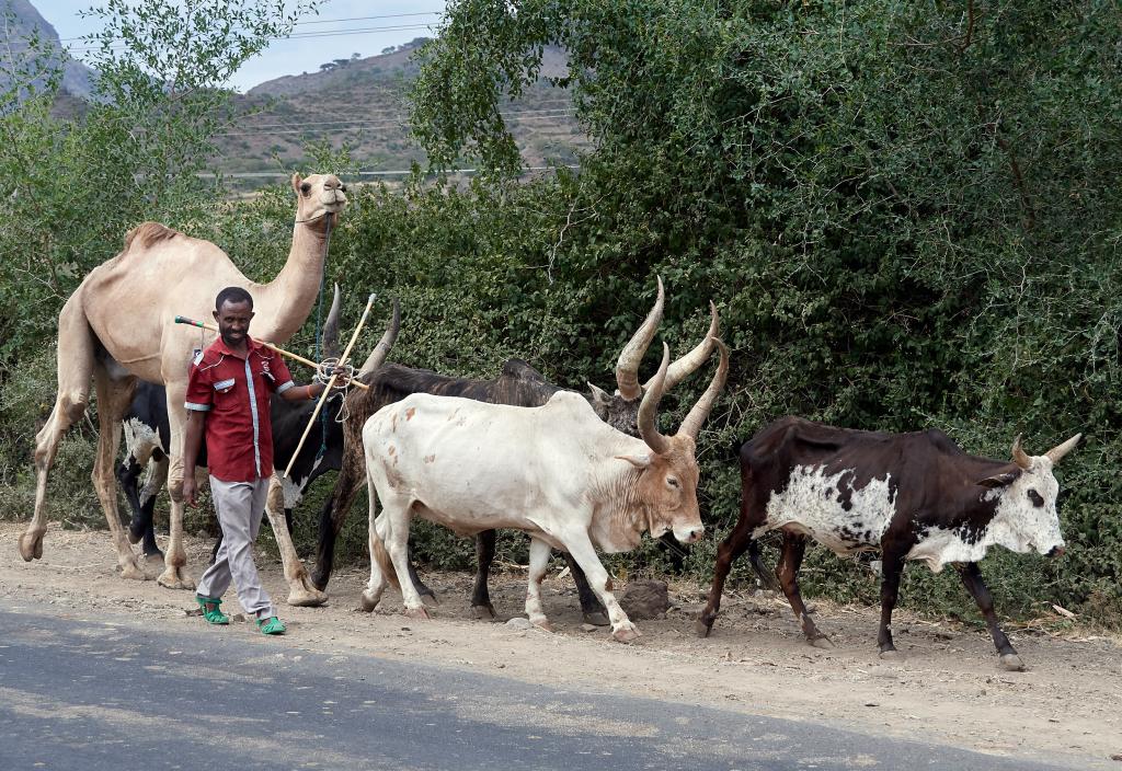 Région de Lalibela [Ethiopie] - 2019