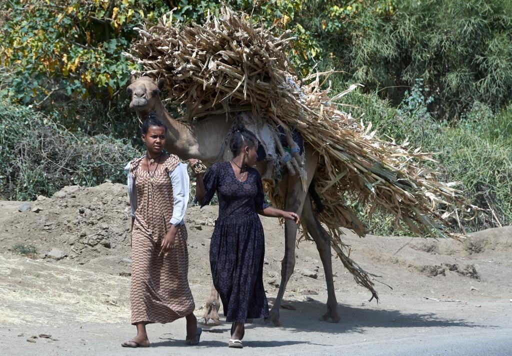 Région de Lalibela [Ethiopie] - 2019