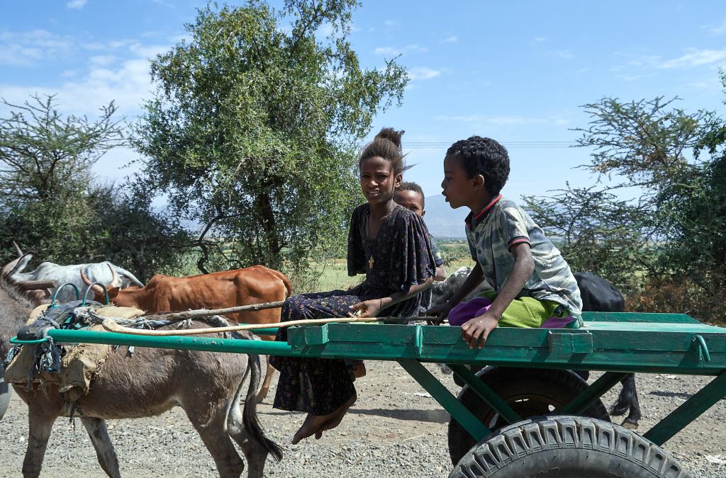 Région de Lalibela [Ethiopie] - 2019