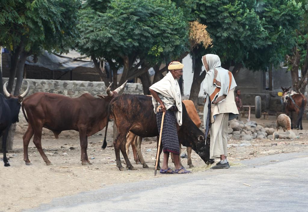 Région de Lalibela [Ethiopie] - 2019