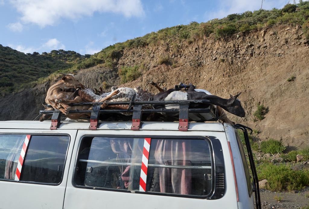 Région de Lalibela [Ethiopie] - 2019