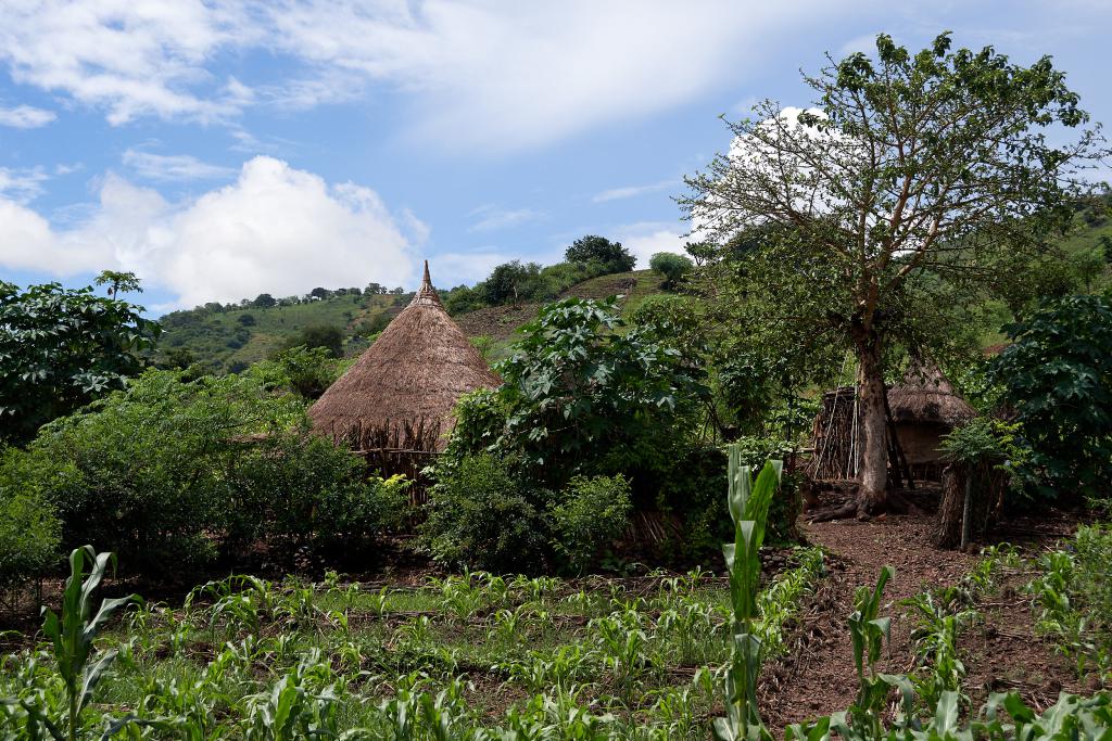 Vallée de l'Omo [Ethiopie] - 2019