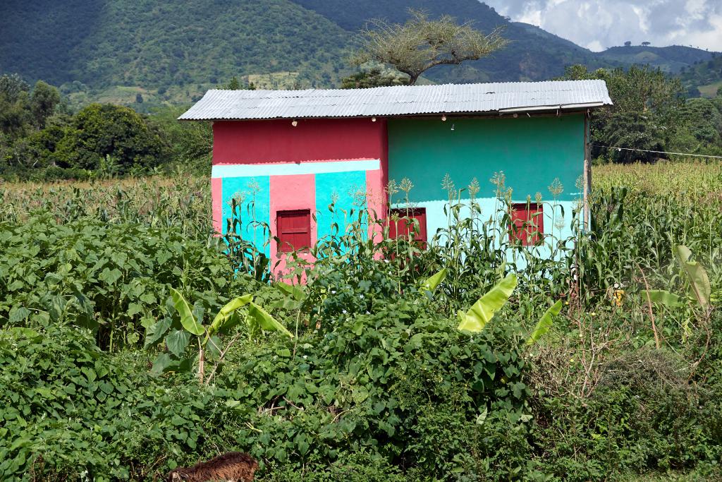 Vallée de l'Omo [Ethiopie] - 2019