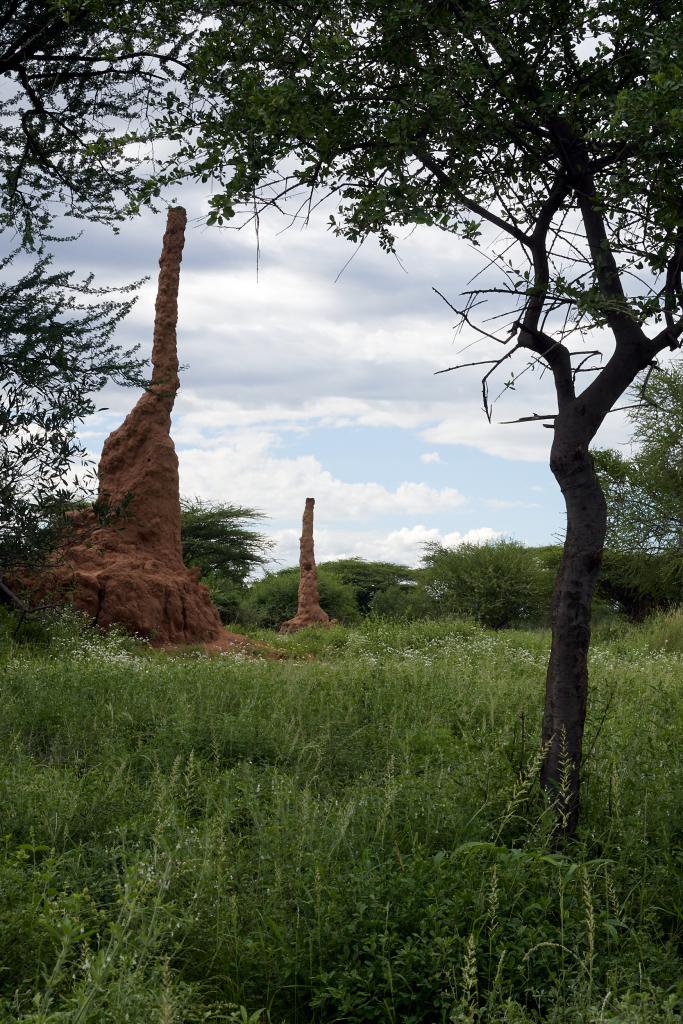 Vallée de l'Omo [Ethiopie] - 2019