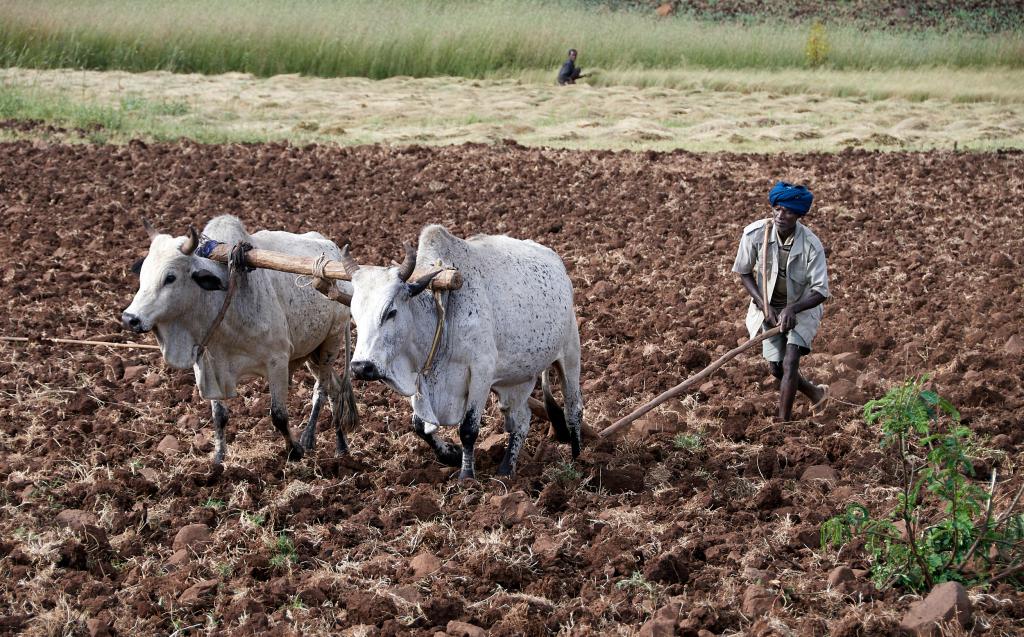 Région de Bahar Dar [Ethiopie] - 2019