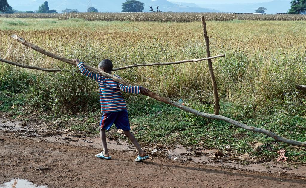 Région de Bahar Dar [Ethiopie] - 2019