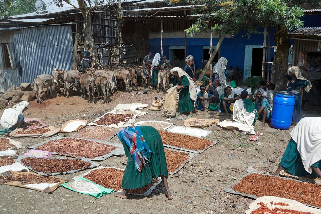 Villages de la région de Bahar Dar [Ethiopie] - 2019