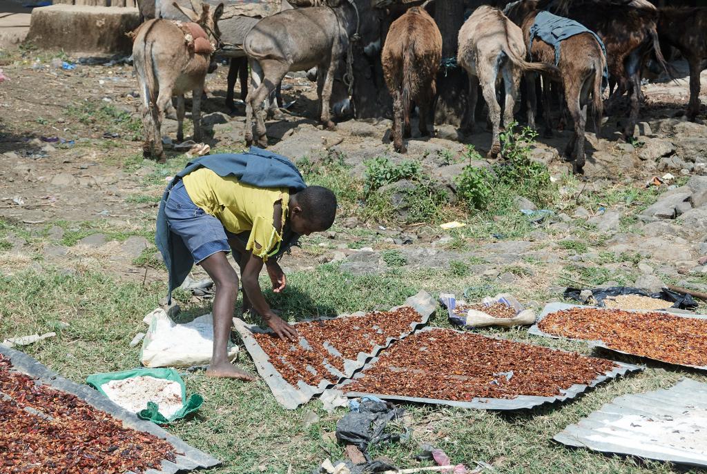 Villages de la région de Bahar Dar [Ethiopie] - 2019