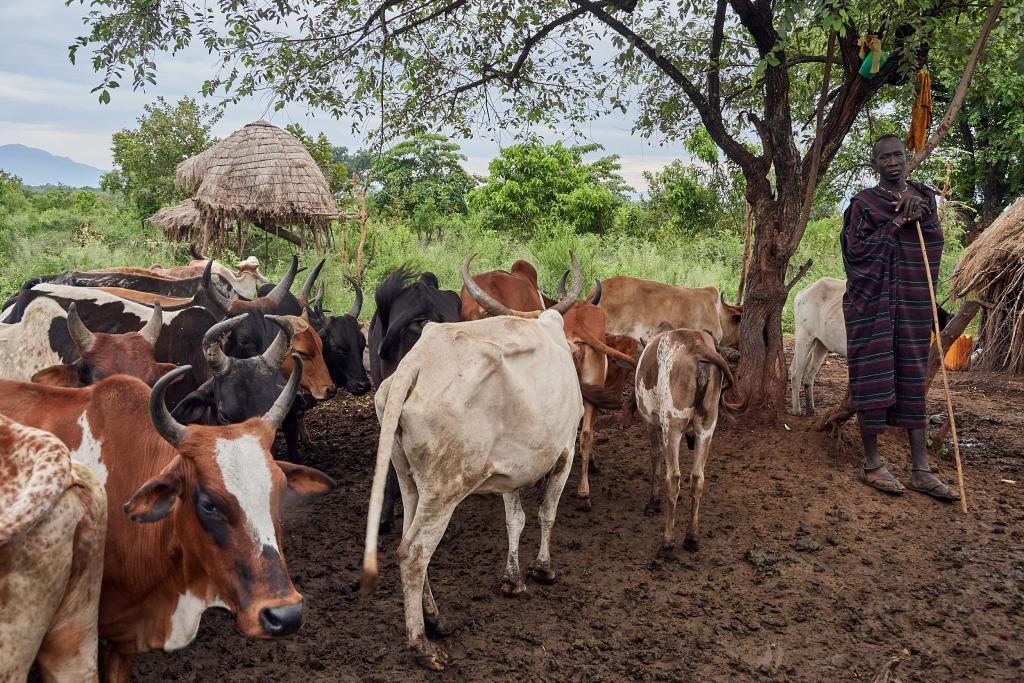 Pays Mursi, vallée de l'Omo [Ethiopie] - 2019