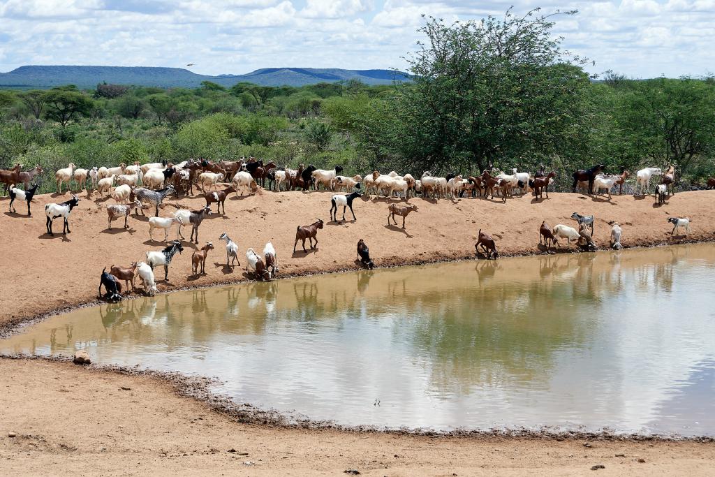 Rencontre avec des Hamers [Ethiopie] - 2019