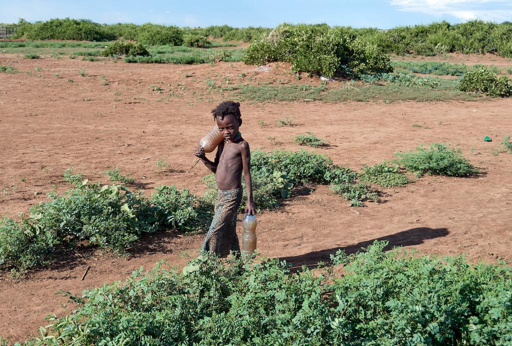 Pays Dassanetch, vallée de l'Omo [Ethiopie] - 2019